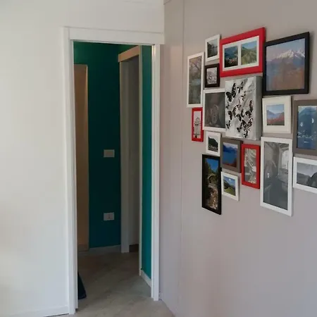 Casa Delle Camelie 公寓 索里科