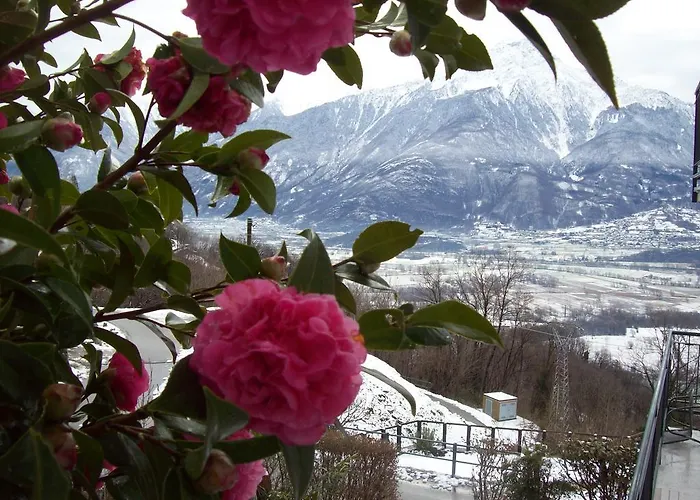 Апартаменты Casa Delle Camelie *