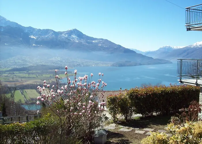 Casa Delle Camelie *