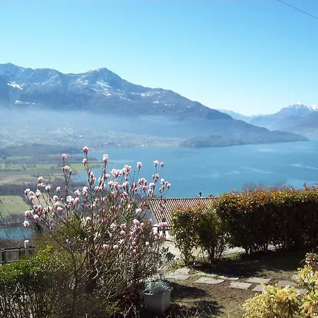 Casa Delle Camelie *