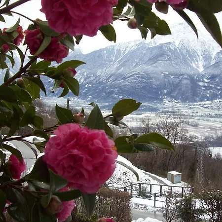 Lägenhet Casa Delle Camelie *